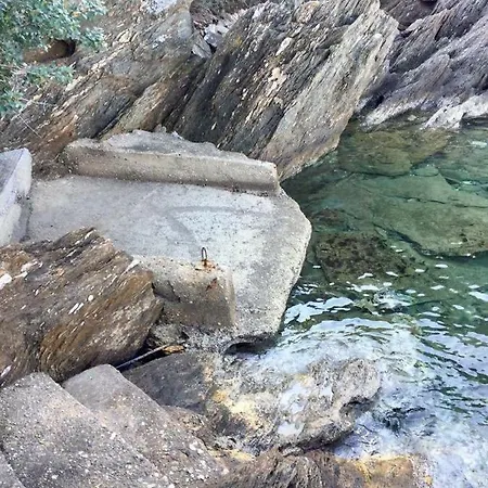 Valia: Traditional Luxurious