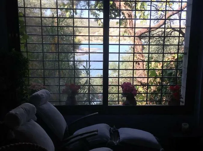 Valia: Traditional Luxurious *